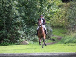 IMG_1539_web